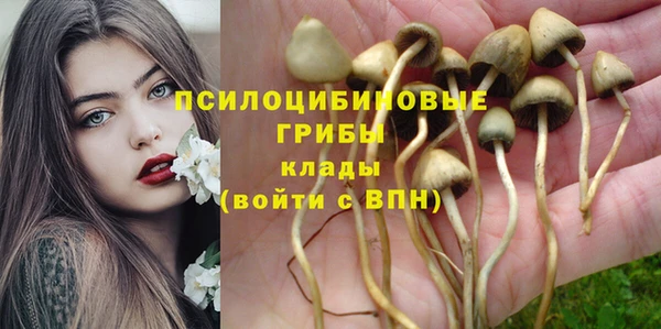 mdpv Михайловск